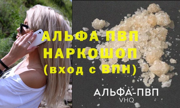 ешки Алексин
