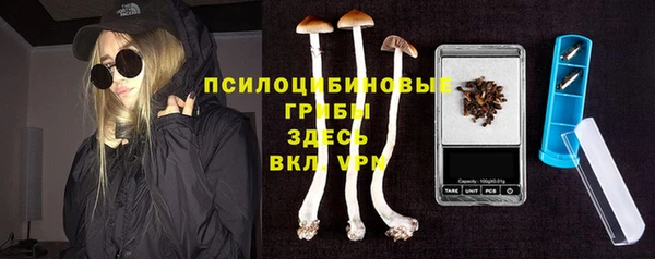 ECSTASY Алзамай